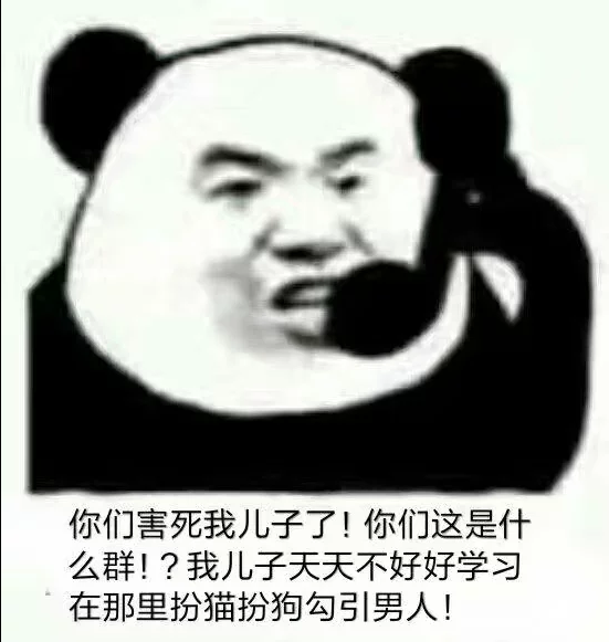 你们这个是什么群啊是什么梗你们这个是什么群啊出自哪里