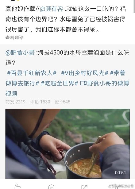 微博热搜野食小哥雪兔子是什么意思?